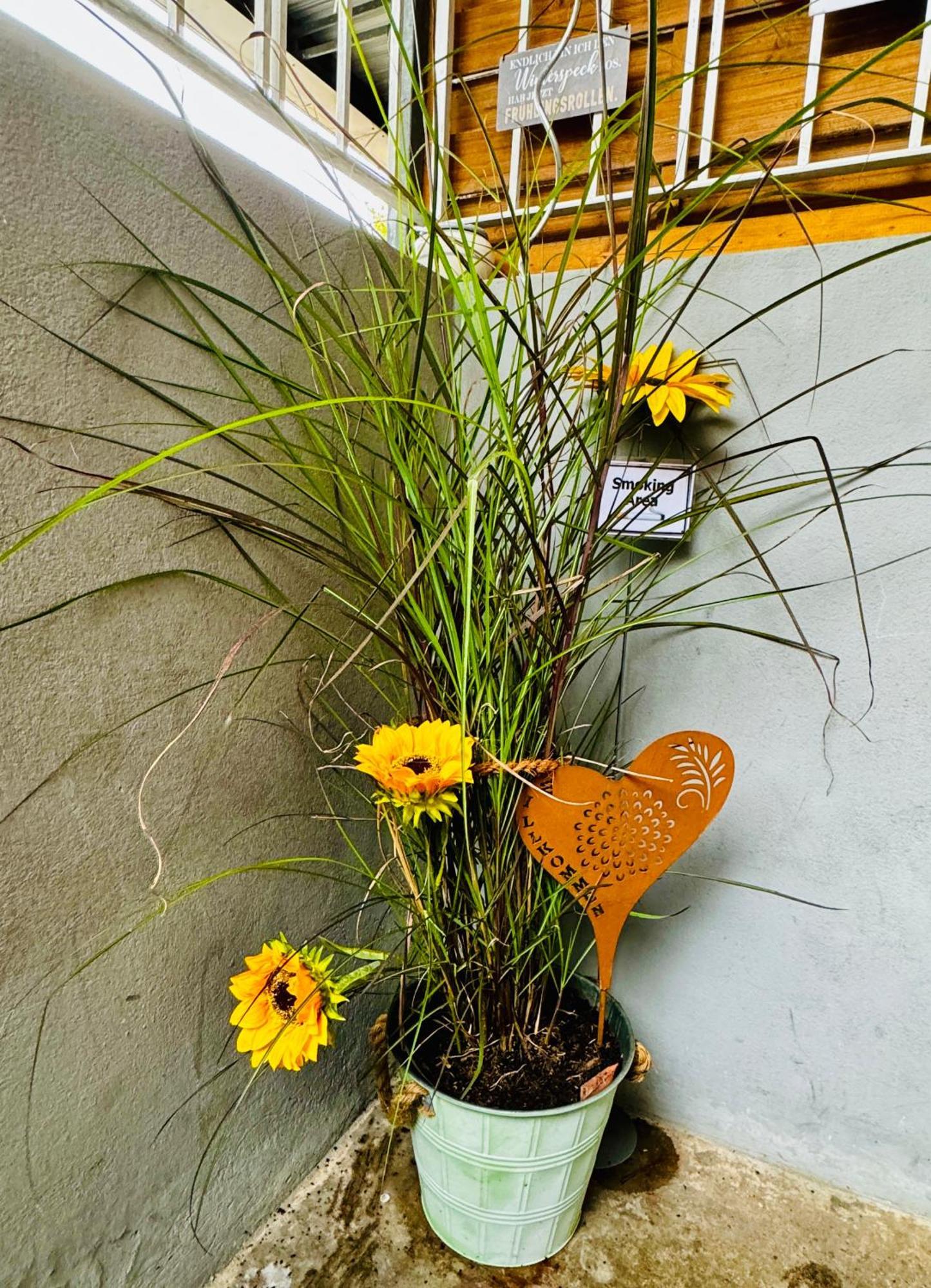 Tulip Path 3, Ferien & Monteur Wohnung Melle Ngoại thất bức ảnh